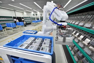 把握唯一的機會 22歲大專學歷踏入AI基礎軟件開發，開啟命運轉折之路